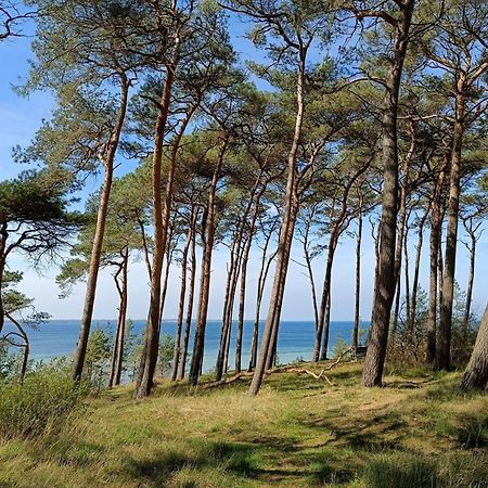 Wilde Moewe No 29 - Aurora Vista - Abc529 - Nur Feriengaeste! Hohen Wieschendorf Ngoại thất bức ảnh